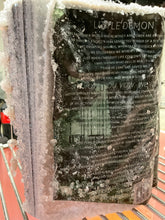 Load image into Gallery viewer, Shantel Tessier The Sinner crystal book